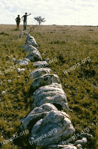 Quartz Outcrop Geology Field Work Science