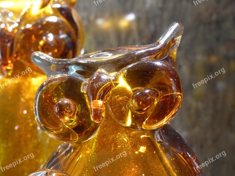 Glass Owl Figure Transparent Wisdom