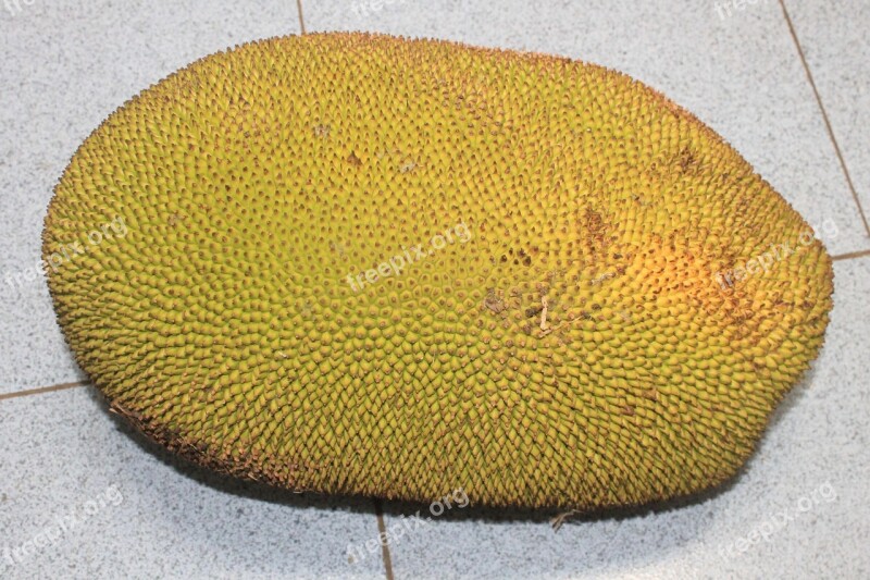 Jackfruit Food Indonesia Asian Free Photos