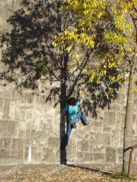 Climbs Wall Shadow Tree Climbing