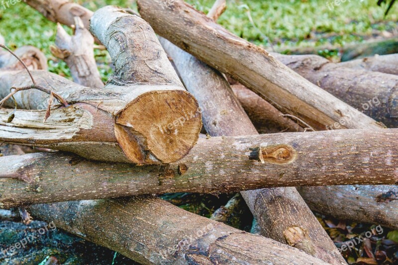 Cut The Wood A Pile Of Wood Firewood Free Photos