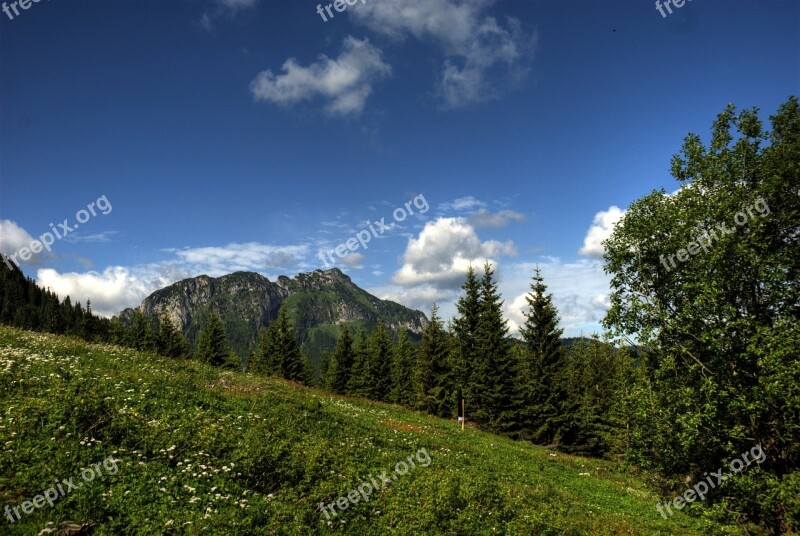 Tatry Poland Czerwone Wierchy Forest Mountains