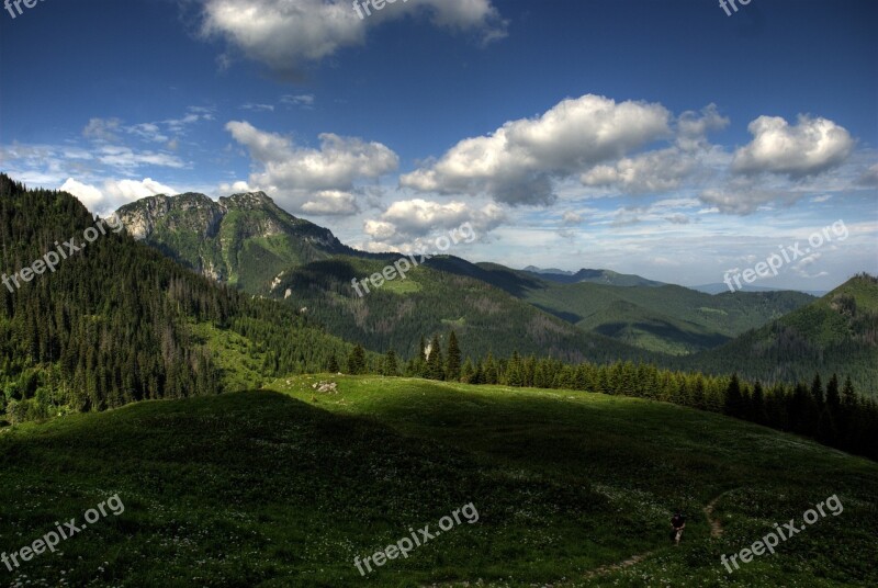 Tatry Poland Czerwone Wierchy Forest Mountains