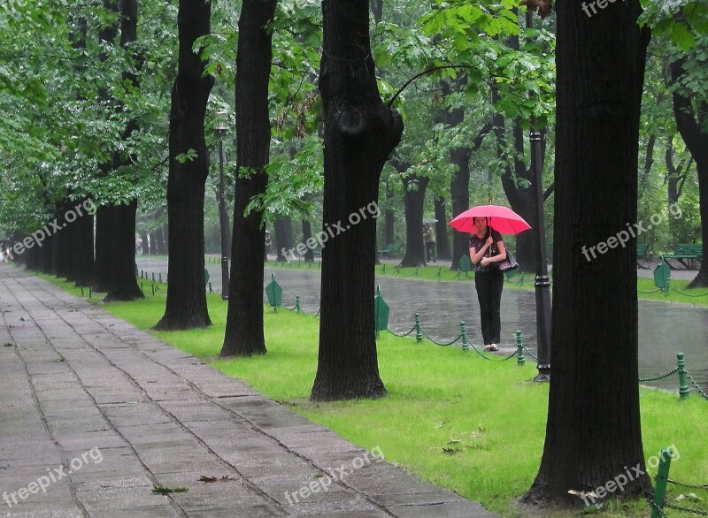 Rain Woman Lady Red Umbrella Trees