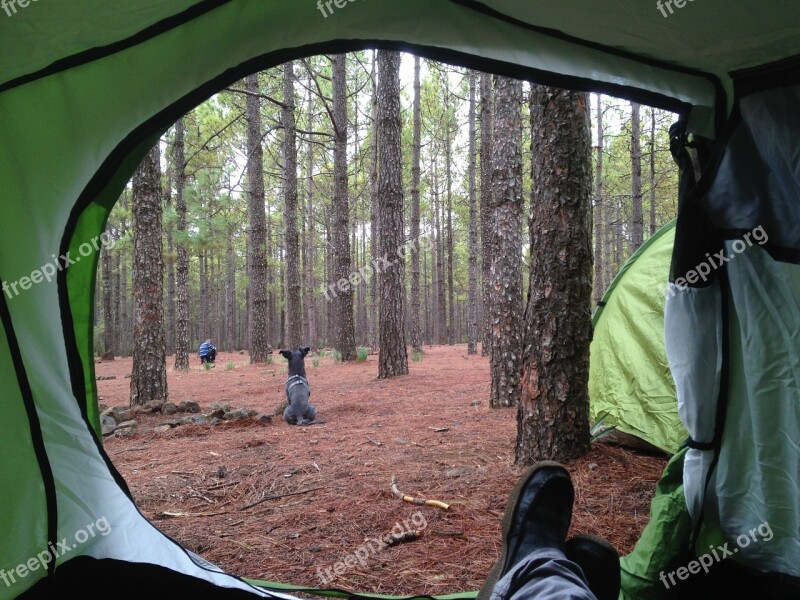 Camping Field Booth Nature Rural