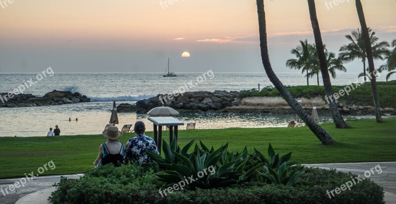 Sunset Hawaii Palm Trees Beach Ocean