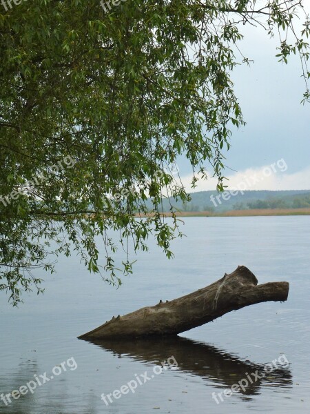 Oderbruch River Impressions Free Photos