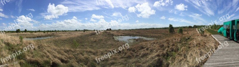 Moor Landscape Nature Swamp Nature Conservation