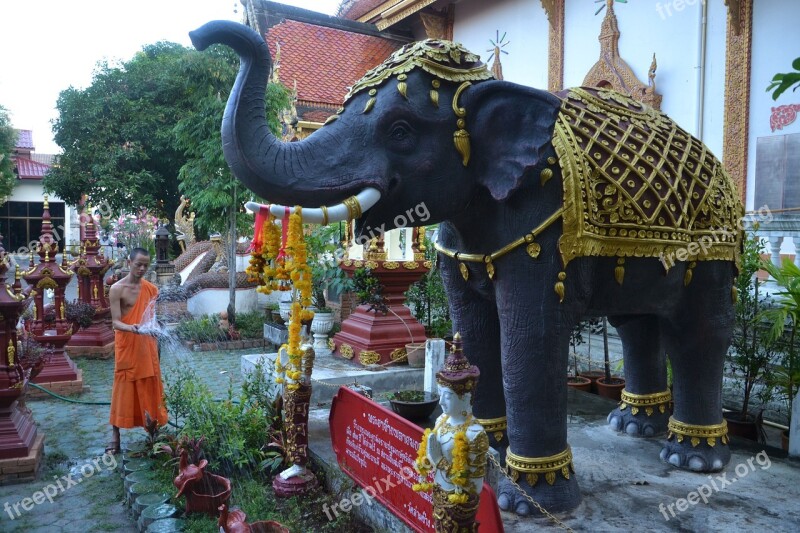 Elephant Monk Thailand Temple Watering