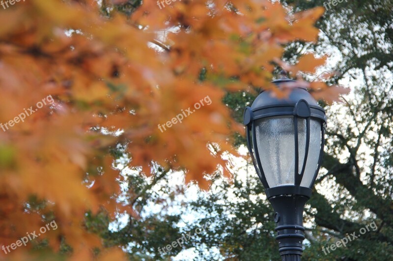 Fall Leaves Co Autumn Fall Leaves Background