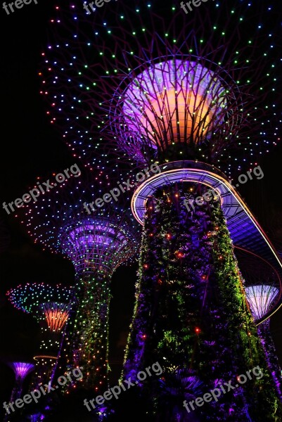 Garden By The Bay Singapore Musical Light Tree Colorful