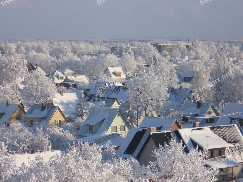 Winter Snow Cold Nature Frost