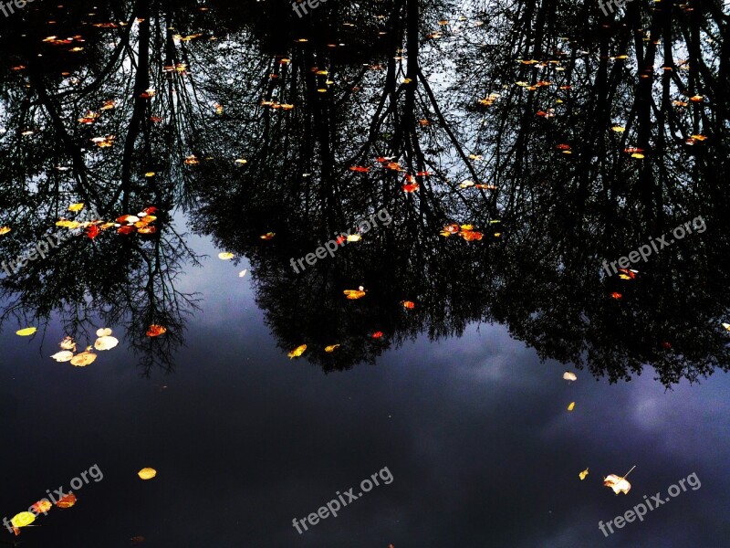 Water-level Reflection Water Pond Nature