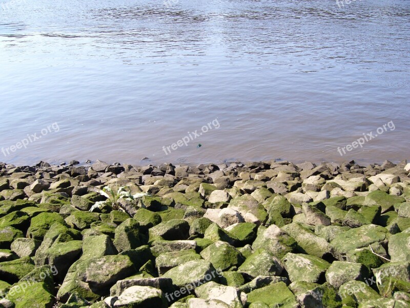 Message In A Bottle Water Bank Stones Bottle