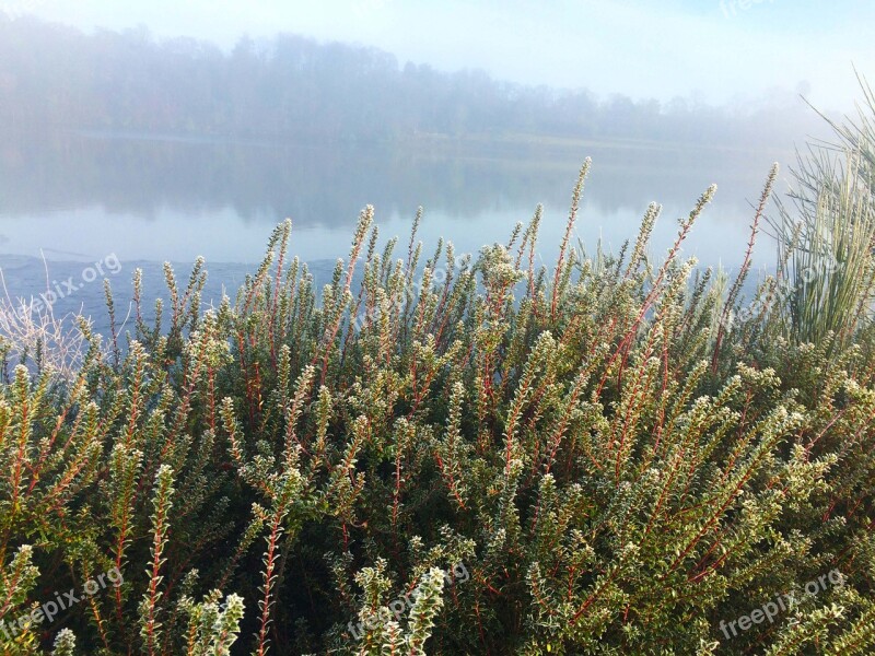 Loch Tranquil Foggy Misty Morning