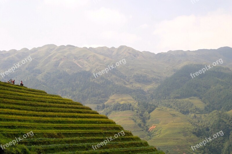 Rice Plantation Rice Plantations Rice Fields Asia