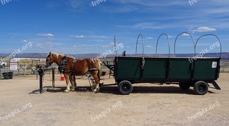 Ranch Hualapai Indian Wagon Horse