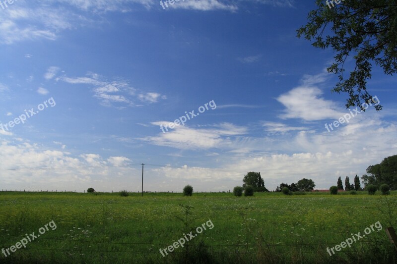 Nature Meadow Flower Meadow Landscape Sky