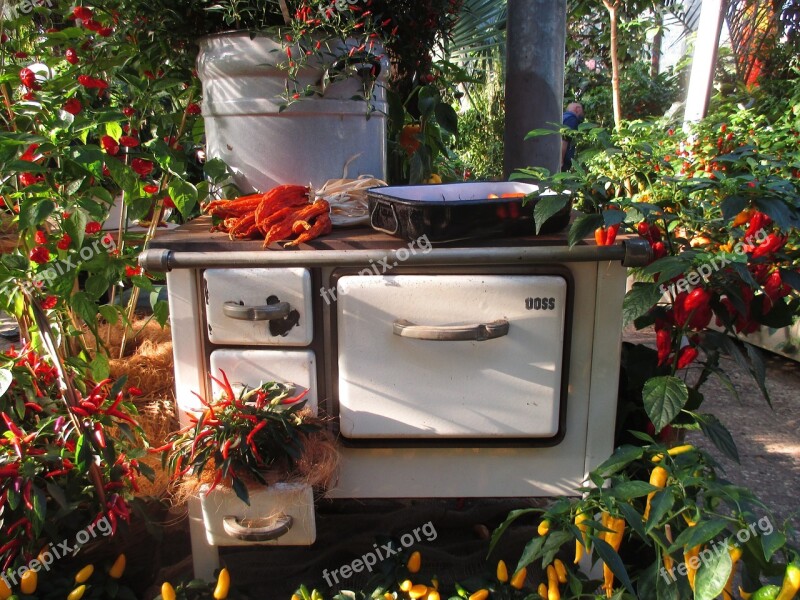 Old Stove Greenhouse Chilli Decoration Exhibition