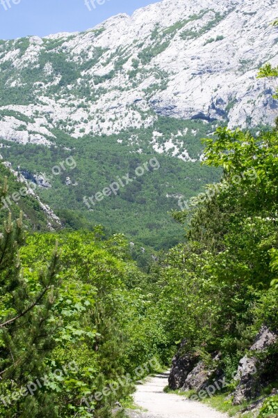 Croatia National Park Nature World Natural Heritage Free Photos