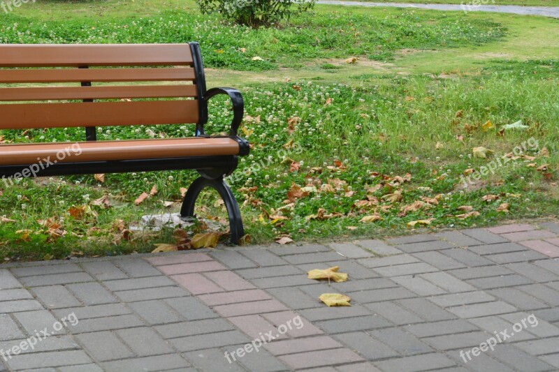 Seat Grassland Public Seating Bench Park