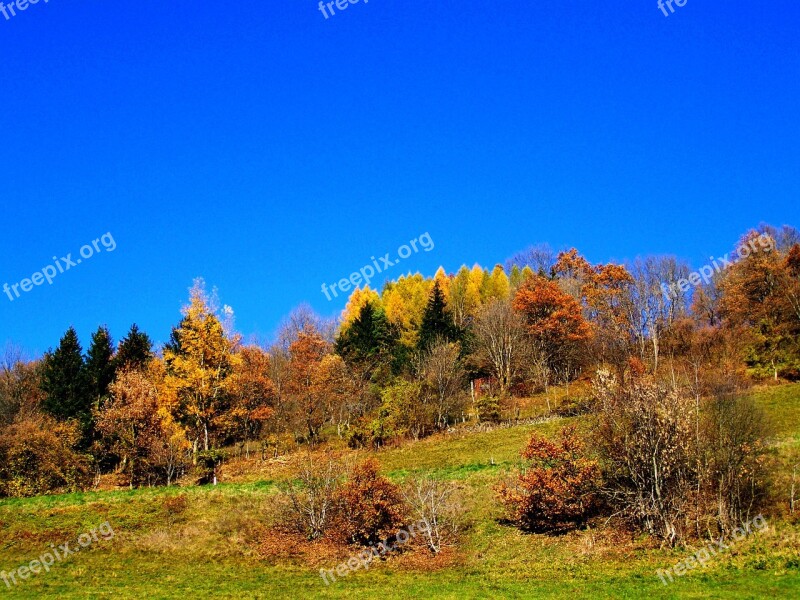 Autumn Landscape Blue Sky Autumn Colors Free Photos