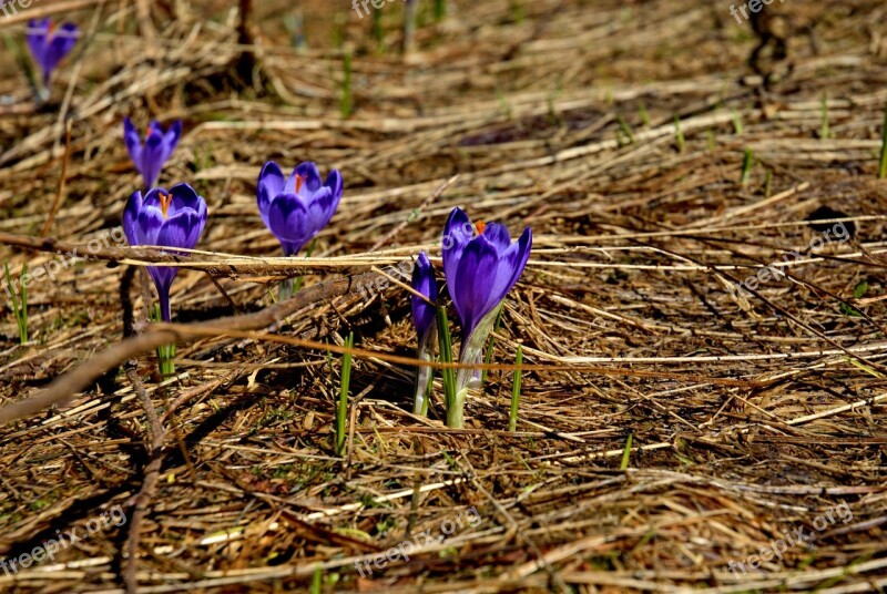 Tatry Kościeliska Valley Winter Spring Tourism