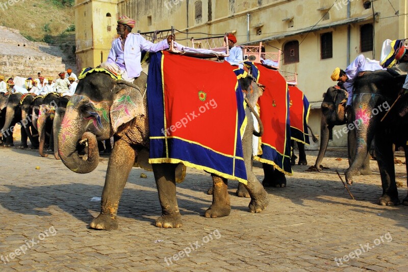 India Amber Elephant Transport Palace