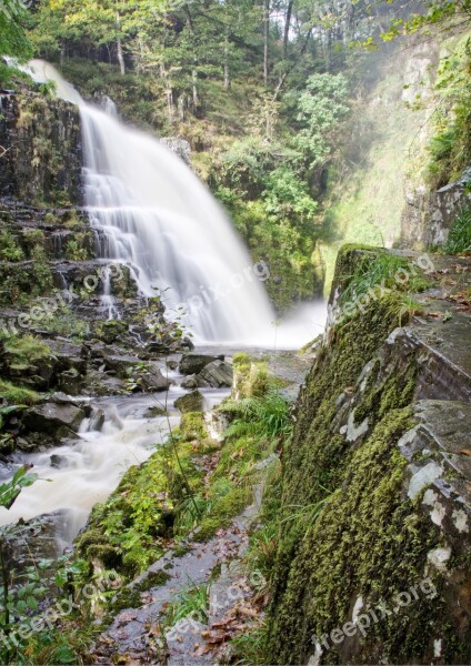 Waterfall Water Forest Cascade Stream