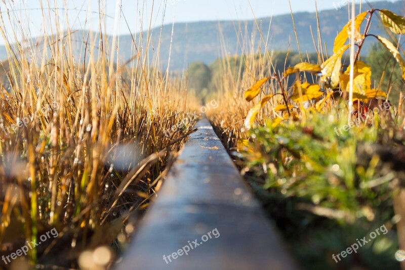 Track Rail Train Railroad Tracks Railway Tracks