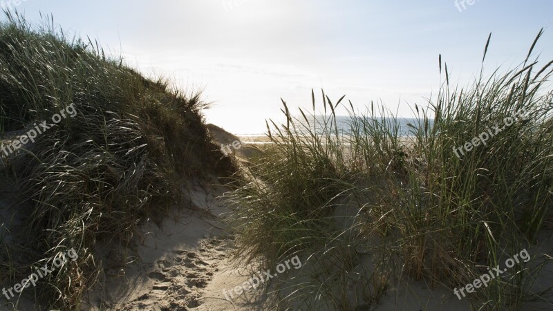 Beach Dune Nice Weather Holidays Nature