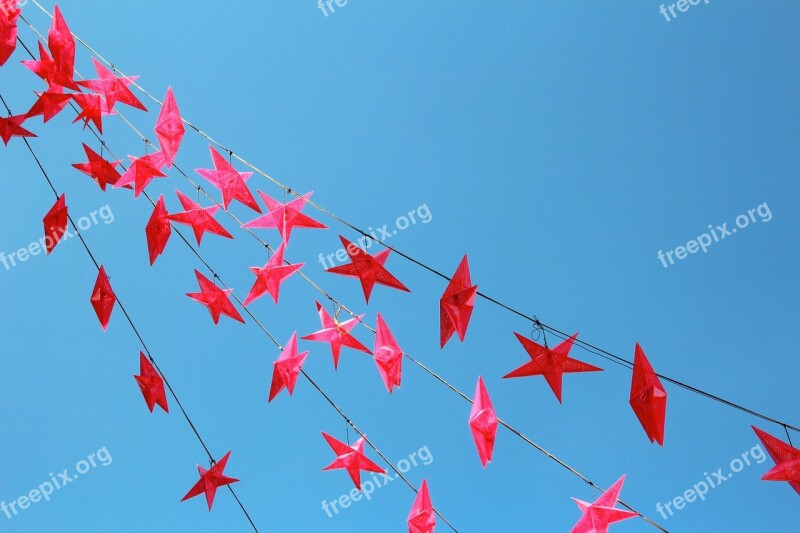 Star Red Christmas Poinsettia Deco