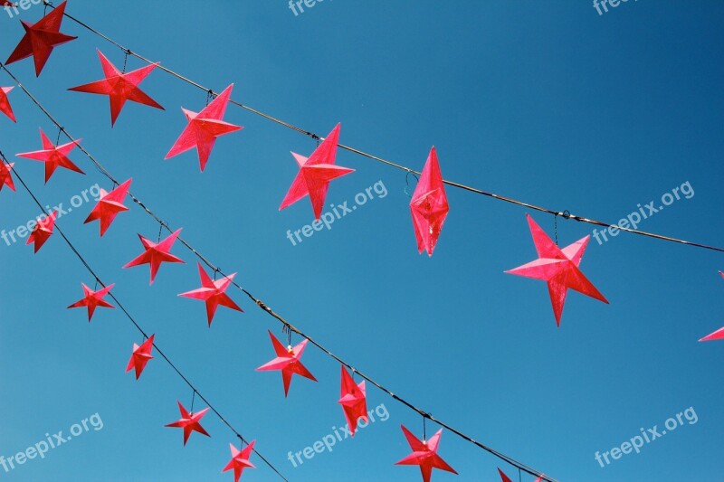 Star Red Christmas Poinsettia Deco