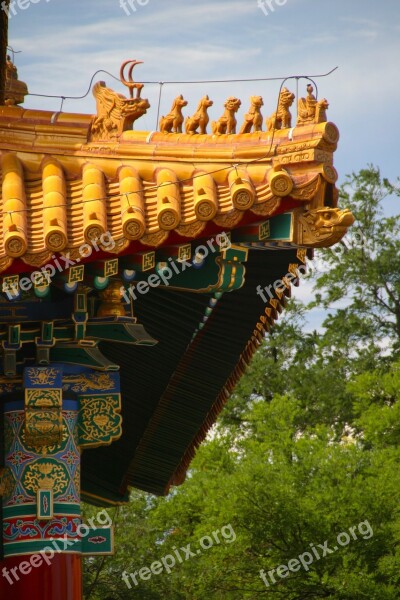 Roof China Dragon Forbidden City Architecture