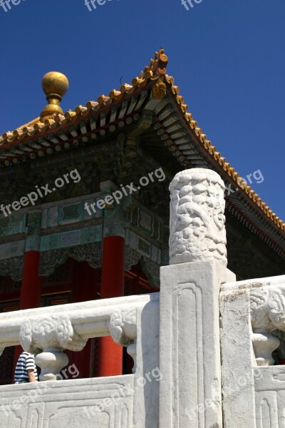 Roof China Dragon Forbidden City Architecture