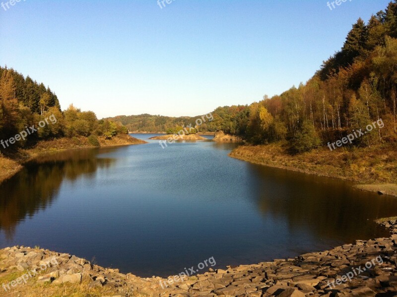 Lake Forest Autumn Trees Landscape