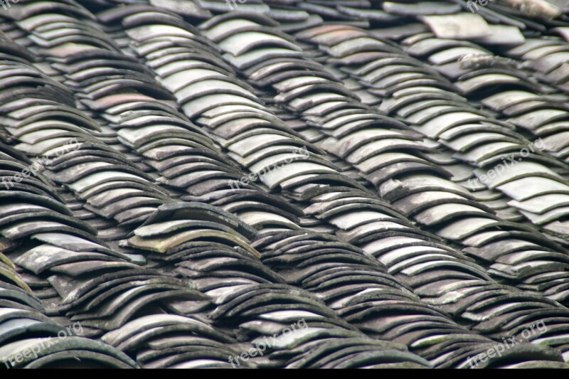 Roof China Dragon Forbidden City Architecture