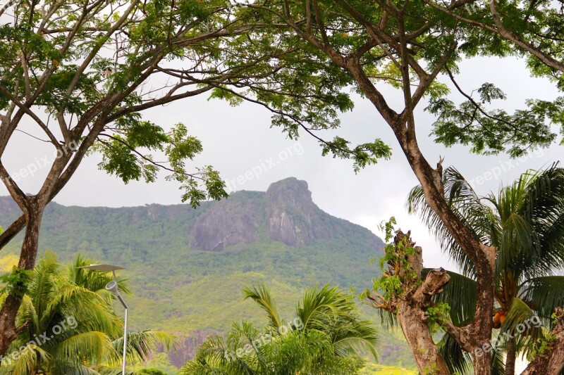 Rock Landscape Seychelles Rocky Landscape Nature