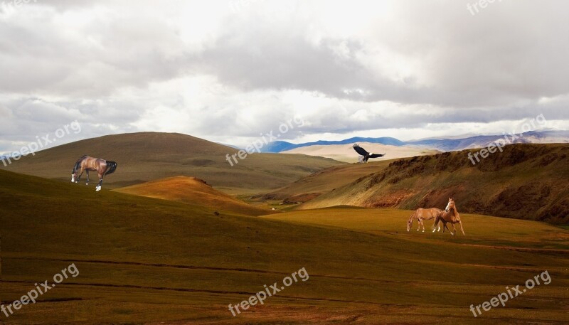 Prairie Steppes Mountains Vegetation Sand