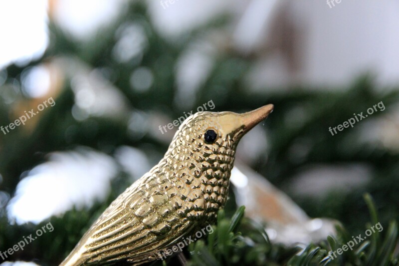 Christmas Ornaments Bird Gold Christmas Free Photos