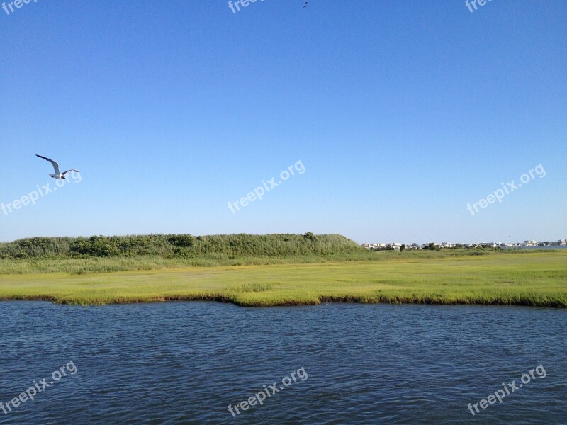 Marshlands Wetlands Nature Landscape Marsh