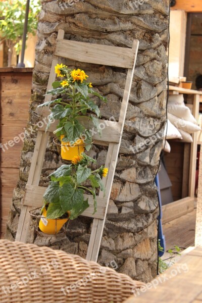 Flowers Deco Head Palm Sunflower