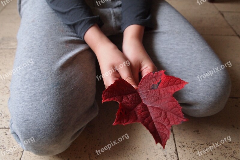 Boy Autumn Leaf Autumn Color Stick Hands