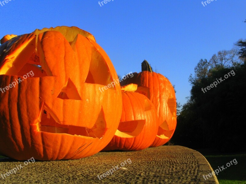 Pumpkin Halloween Orange Halloween Pumpkin October