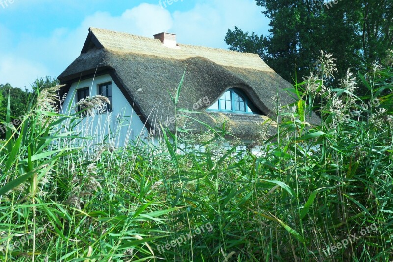 Thatched Roof Baltic Sea Rügen Island Traditionally Free Photos