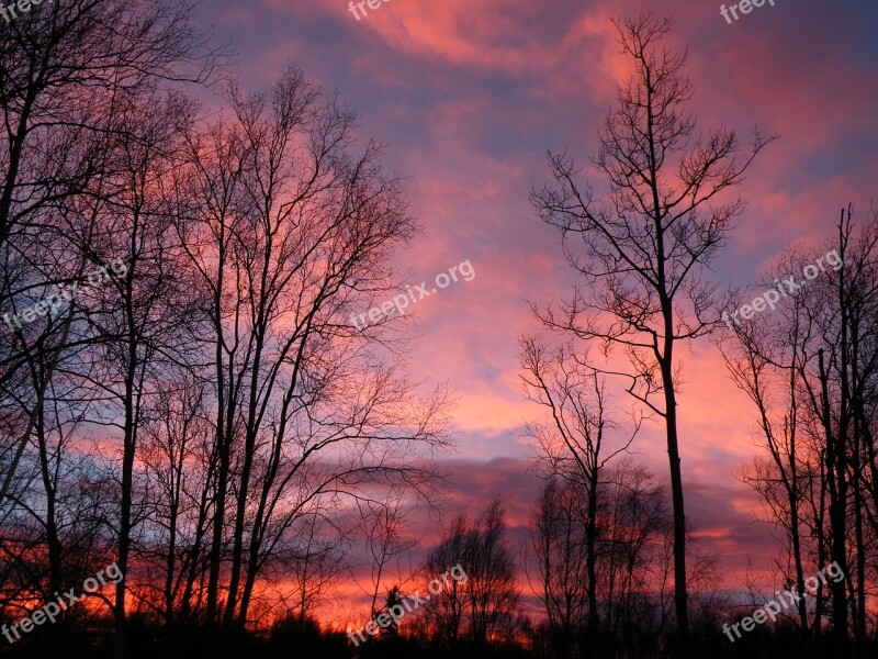 Sunrise Pink Trees Sky Nature