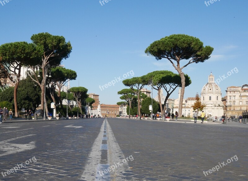 Road Street Avenue Trees Landscape