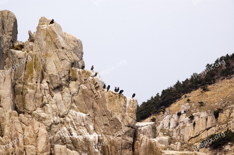 Also Somaemul Tongyeong Island Rock Commercial Road