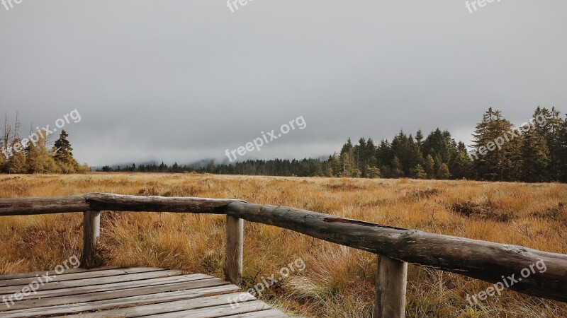 Moor Harz Mountains Away Hiking Path