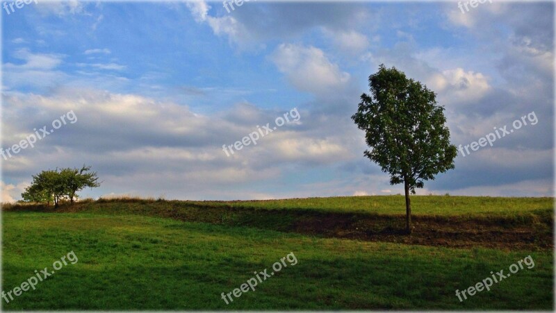 Olkusz Poland Tree Landscape Clouds